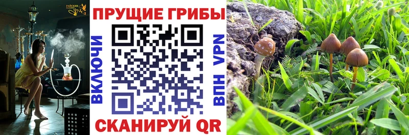 Галлюциногенные грибы Cubensis  наркотики  Сатка 