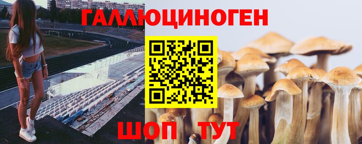 Галлюциногенные грибы мухоморы Сатка