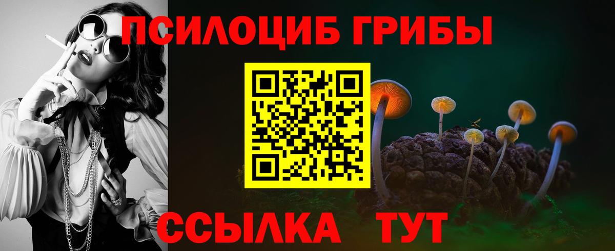 Сатка  Галлюциногенные грибы GOLDEN TEACHER  Вход с VPN 